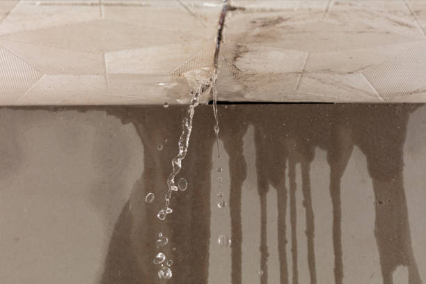 Professional Water Damage Inspection technician working in Buchanan, TN